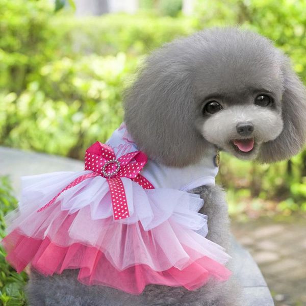 dog apparel pet cat clothes for small dogs dresses sweety princess dress spring summer skirt chihuahua pug yorkie clothing puppy supplie
dog apparel pet cat clothes for small dogs dresses sweety princess dress spring summer skirt chihuahua pug yorkie clothing puppy supplie