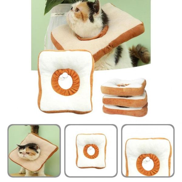 cat collars & leads prevent bite reusable wound healing pet protective collar supplies
cat collars & leads prevent bite reusable wound healing pet protective collar supplies