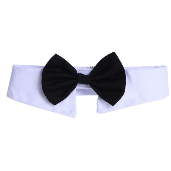 pet dog collar cat necktie delicate decoration hook and loop parties clothes bow tie wedding soft portable cute apparel
pet dog collar cat necktie delicate decoration hook and loop parties clothes bow tie wedding soft portable cute apparel