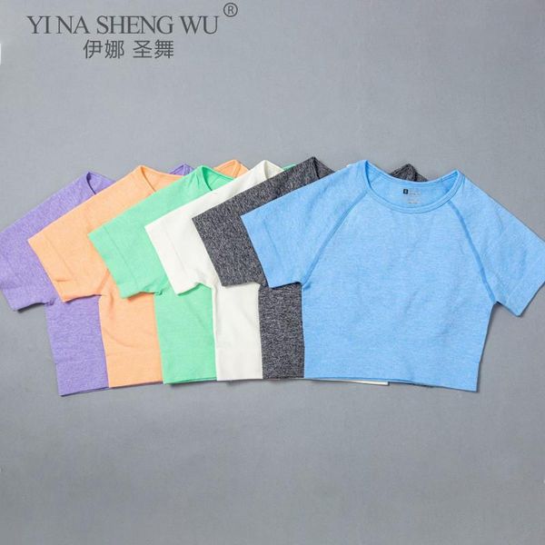 yoga shirts short sleeve solid color vital seamless women fitness crop workout gym clothes sportswear jogging t-shirts outfit
yoga shirts short sleeve solid color vital seamless women fitness crop workout gym clothes sportswear jogging t-shirts outfit