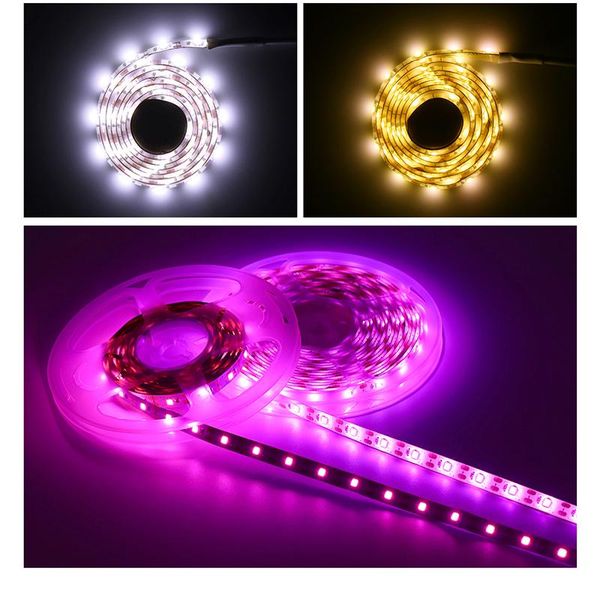 grow lights 5v usb led strip ribbon tape 2835 with rf remote controller flexible for kitchen pc/tv backlight lamp
grow lights 5v usb led strip ribbon tape 2835 with rf remote controller flexible for kitchen pc/tv backlight lamp