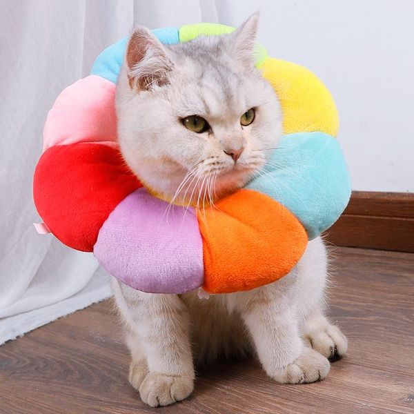 cat collars & leads cotton pet anti-bite collar dog recovery kitten elizabethan protective neck ring accessories
cat collars & leads cotton pet anti-bite collar dog recovery kitten elizabethan protective neck ring accessories