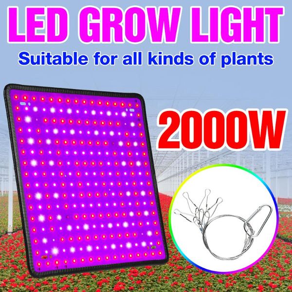full spectrum plant grow lamp high power phyto growing lighting 220v led growth panel for greenhouse cultivate flower seed lights
full spectrum plant grow lamp high power phyto growing lighting 220v led growth panel for greenhouse cultivate flower seed lights