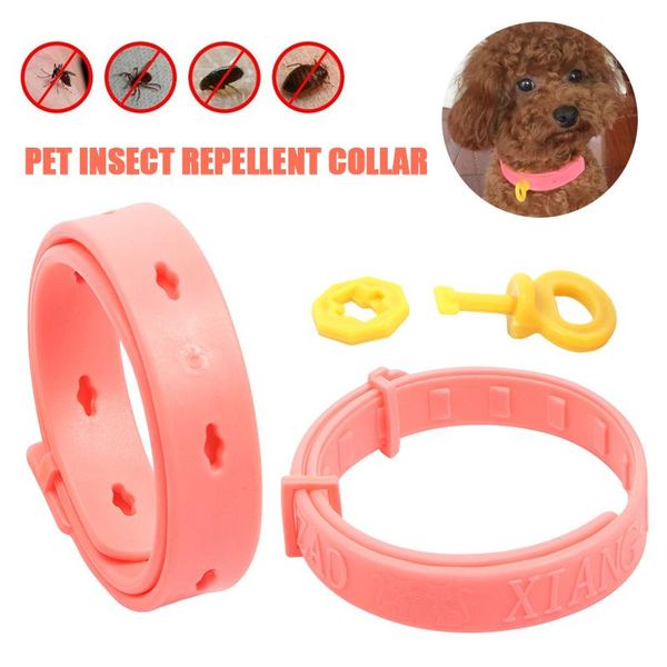 dog collars & leashes flea tick collar insect repellent for dogs cats small and medium adjustable pet pets accessories
dog collars & leashes flea tick collar insect repellent for dogs cats small and medium adjustable pet pets accessories