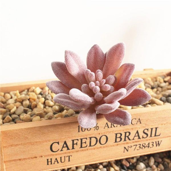 decorative flowers & wreaths artificial succulent bonsai home office table decor flower craft ornament display simulation lifelike plants
decorative flowers & wreaths artificial succulent bonsai home office table decor flower craft ornament display simulation lifelike plants