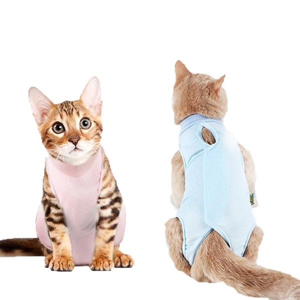 cat carriers,crates & houses pet gown sterilization suit teddy weaning anti-bite elizabeth circle upgrade one for multiple purposes
cat carriers,crates & houses pet gown sterilization suit teddy weaning anti-bite elizabeth circle upgrade one for multiple purposes