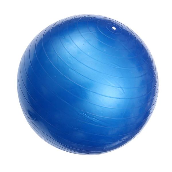 55cm 600g anti burst stability yoga thicken balancing devcie exercise tool for fitness gym workouts with pump air clamp sto balls
55cm 600g anti burst stability yoga thicken balancing devcie exercise tool for fitness gym workouts with pump air clamp sto balls