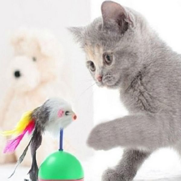 cat toys durable pet mimi favorite fur mouse tumbler plastic balls for cats dogs play 5.5cm
cat toys durable pet mimi favorite fur mouse tumbler plastic balls for cats dogs play 5.5cm
