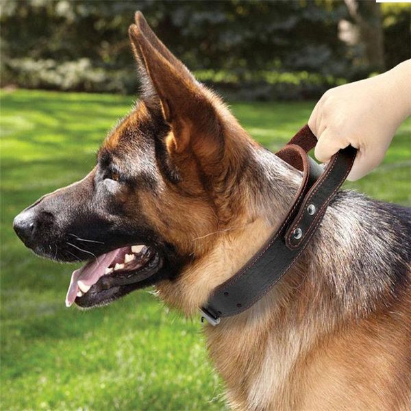useful pet dog collar integrated short elastic leash reflective training quick control for rescue force collars & leashes
useful pet dog collar integrated short elastic leash reflective training quick control for rescue force collars & leashes