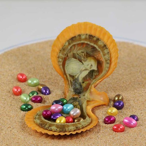 other fashion red shells scallop mini monster 10-20 colored rice pearls in saltwater oyster multiple pearl party gift fp455
other fashion red shells scallop mini monster 10-20 colored rice pearls in saltwater oyster multiple pearl party gift fp455