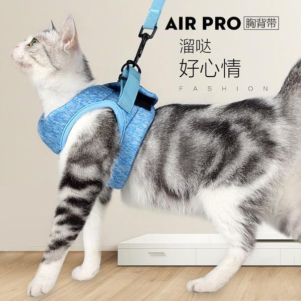 cat collars & leads harness pull rope bolt slip chest strap traction collar with bell kitten
cat collars & leads harness pull rope bolt slip chest strap traction collar with bell kitten