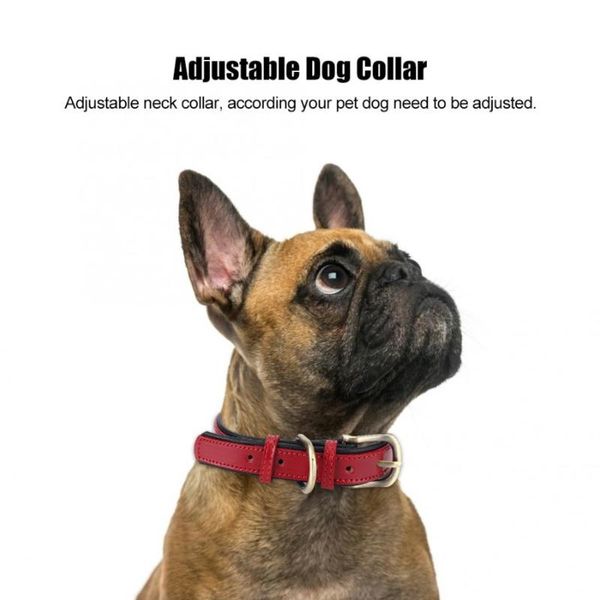 artificial leather adjustable durable pet dog collar neck strap for puppy pug collars small medium size dogs & leashes
artificial leather adjustable durable pet dog collar neck strap for puppy pug collars small medium size dogs & leashes