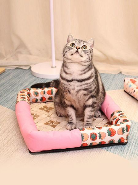 cat beds & furniture summer cooling rattan mat pet dog bed cats dogs nest for soft sofa fleece puppy house breathable washable supplies
cat beds & furniture summer cooling rattan mat pet dog bed cats dogs nest for soft sofa fleece puppy house breathable washable supplies