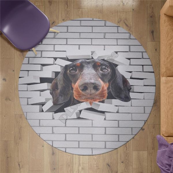 carpets dachshund funny carpet square anti-skid area floor mat 3d rug non-slip dining room living soft bedroom 03
carpets dachshund funny carpet square anti-skid area floor mat 3d rug non-slip dining room living soft bedroom 03