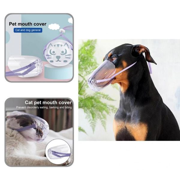 cat costumes pet muzzles practical pc anti-called sturdy transparent supplies anti-bite mouth cover
cat costumes pet muzzles practical pc anti-called sturdy transparent supplies anti-bite mouth cover