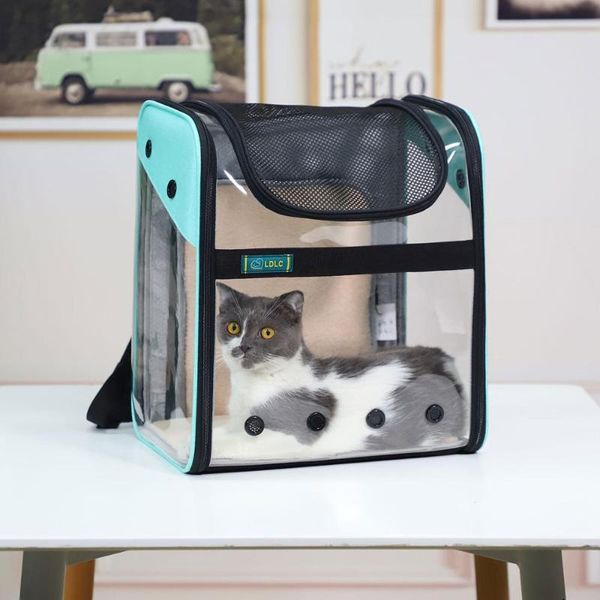 dog car seat covers out portable pet supplies transparent bag pvc expansion backpack folding space
dog car seat covers out portable pet supplies transparent bag pvc expansion backpack folding space