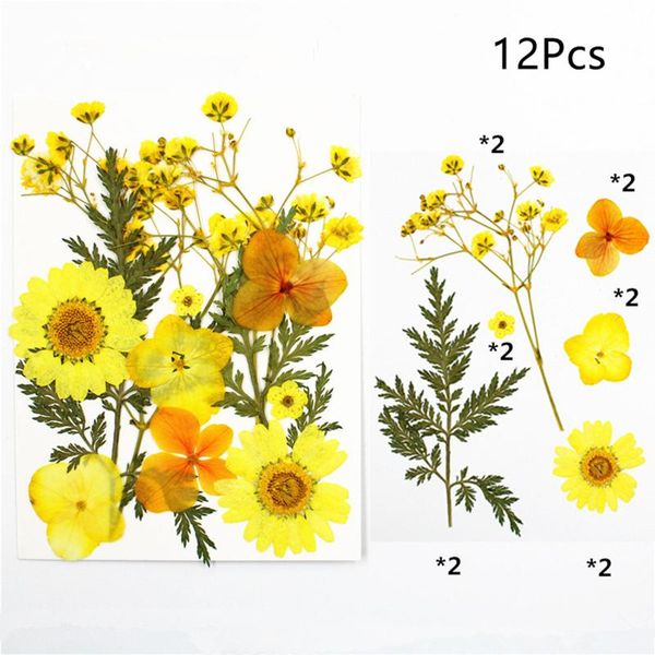 decorative flowers & wreaths 72 pieces dried pressed multiple leaves petals for crafts set door knocker wedding entrance wreath
decorative flowers & wreaths 72 pieces dried pressed multiple leaves petals for crafts set door knocker wedding entrance wreath