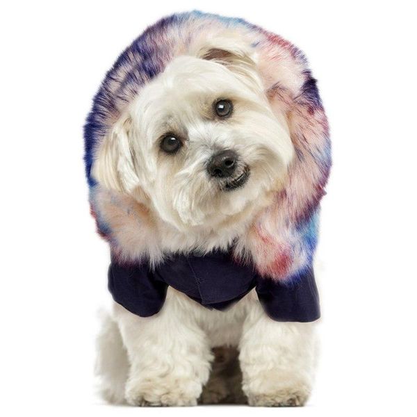 dog apparel warm winter clothes luxury fur coat hoodies for small medium windproof pet clothing fleece lined puppy jacket
dog apparel warm winter clothes luxury fur coat hoodies for small medium windproof pet clothing fleece lined puppy jacket