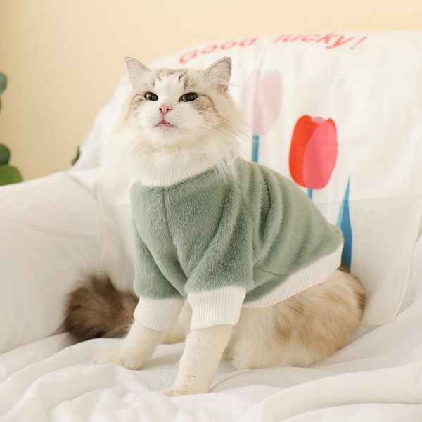 dog apparel pet cat winter clothes small cotton-padded teddy puppy warm and plus velvet two-leg sweater
dog apparel pet cat winter clothes small cotton-padded teddy puppy warm and plus velvet two-leg sweater