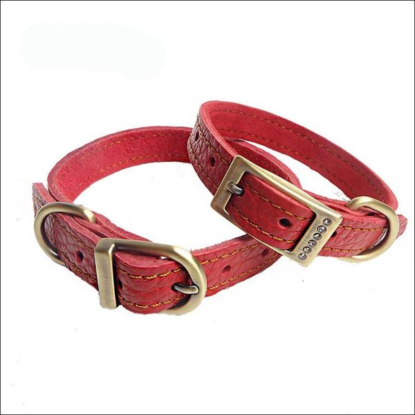 dog collars & leashes teddy small medium dogs pet products double-sided cortex collar harness
dog collars & leashes teddy small medium dogs pet products double-sided cortex collar harness