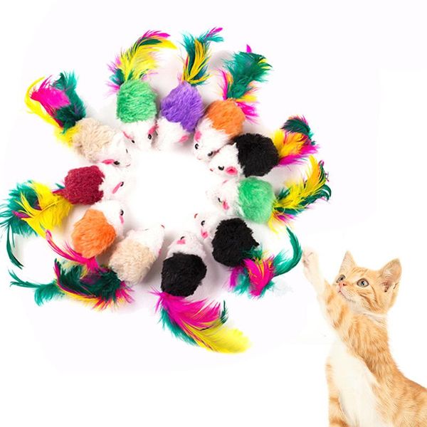 cat toys 5/10pcs cute mini soft plush artificial fake mouse toy colorful feather funny play training kitten dog pet supplies
cat toys 5/10pcs cute mini soft plush artificial fake mouse toy colorful feather funny play training kitten dog pet supplies