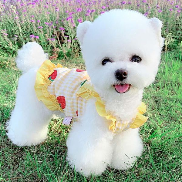 dog apparel princess dress puppy chihuahua pet skirt clothing for dogs clothes small wedding costume ropa perro
dog apparel princess dress puppy chihuahua pet skirt clothing for dogs clothes small wedding costume ropa perro