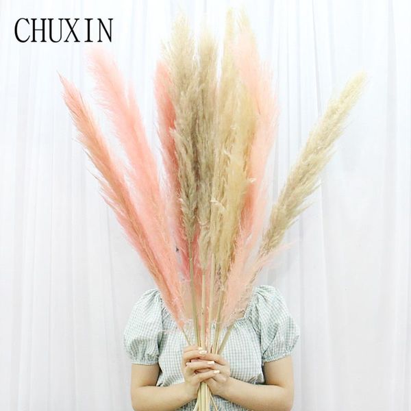 decorative flowers & wreaths 20pcs real natural dried plants reed grass home decor wedding decoration for manor fence pography background 1m
decorative flowers & wreaths 20pcs real natural dried plants reed grass home decor wedding decoration for manor fence pography background 1m
