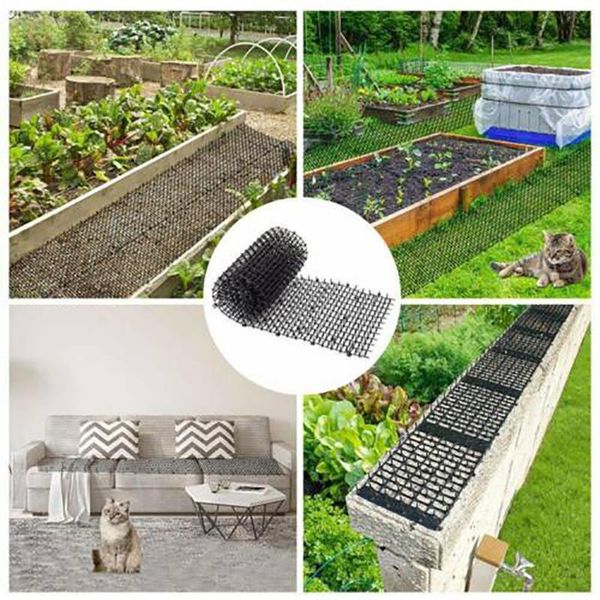 cat beds & furniture guard bar green gardening plastic anti - thorn dog mosquito repellent nail garden net digging pets supply 2021
cat beds & furniture guard bar green gardening plastic anti - thorn dog mosquito repellent nail garden net digging pets supply 2021