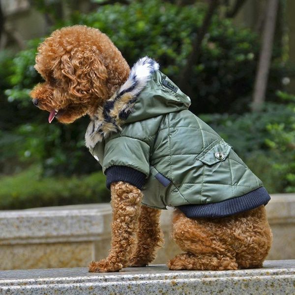 pet dog pockets hooded jacket soft durable coat for small chihuahua puppy warm snowsuit accessories autumn winter apparel
pet dog pockets hooded jacket soft durable coat for small chihuahua puppy warm snowsuit accessories autumn winter apparel