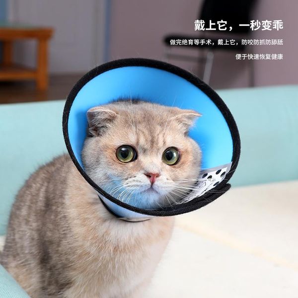 cat collars & leads pet protective equipment candy color elizabeth formation lap dog collar against the set grab bite lick spot
cat collars & leads pet protective equipment candy color elizabeth formation lap dog collar against the set grab bite lick spot