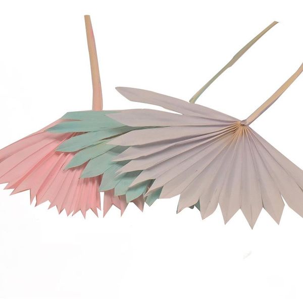 natural dried flower everlasting cattail fan plants nordic palm leaf home decor diy boho wedding party arrangement material decorative flowe
natural dried flower everlasting cattail fan plants nordic palm leaf home decor diy boho wedding party arrangement material decorative flowe