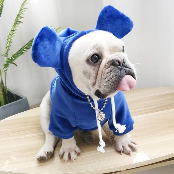 dog apparel clothing coat jacket hoodie sweater clothes for dogs cotton fashion cute pet
dog apparel clothing coat jacket hoodie sweater clothes for dogs cotton fashion cute pet