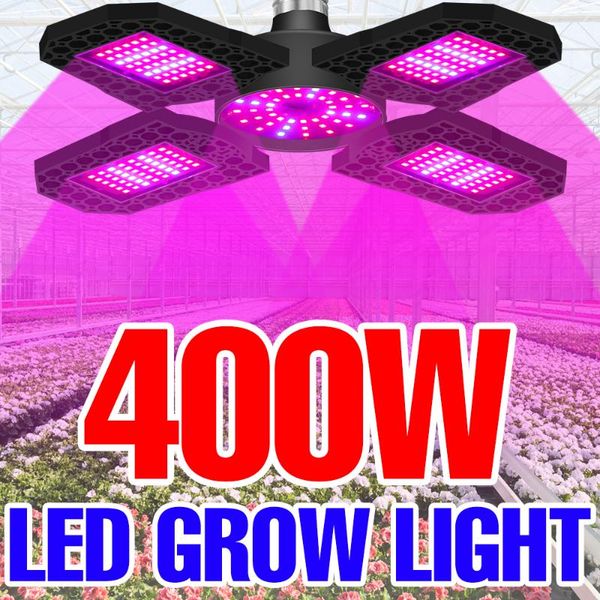 lampara led grow light 220v phytolampy for plant lamp hydroponics bombilla seeds bulb 110v 200w 300w 400w lights
lampara led grow light 220v phytolampy for plant lamp hydroponics bombilla seeds bulb 110v 200w 300w 400w lights