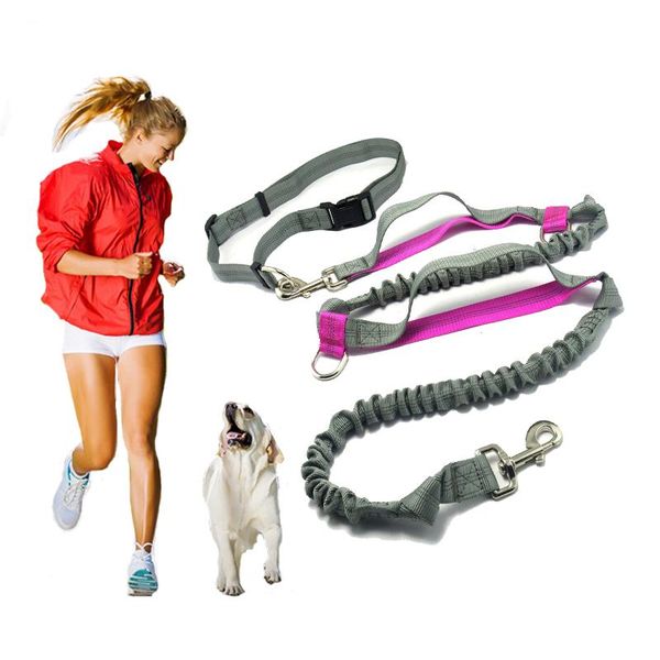 dog collars & leashes pet product leash running belt jogging sport adjustable nylon rope with reflective strip accessories hands free
dog collars & leashes pet product leash running belt jogging sport adjustable nylon rope with reflective strip accessories hands free