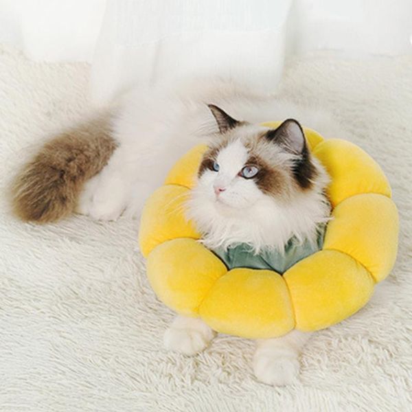 cat costumes kitten neck cone recovery healing protective cats soft cotton collar for cats/dogs after
cat costumes kitten neck cone recovery healing protective cats soft cotton collar for cats/dogs after