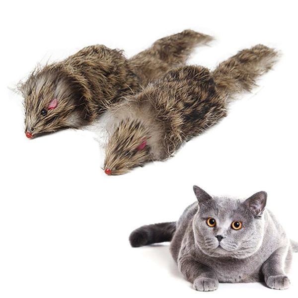 cat toys 1pc mouse toy realistic plush catnip kitten chew for halloween interactive pet supplies
cat toys 1pc mouse toy realistic plush catnip kitten chew for halloween interactive pet supplies