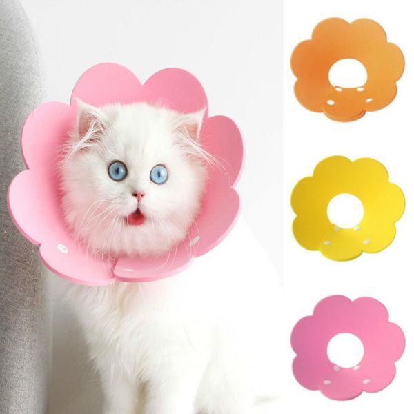 cat collars & leads 1pc pet dogs elizabethan collar cute sunflower shape neck wound healing protective cone for kitten puppy
cat collars & leads 1pc pet dogs elizabethan collar cute sunflower shape neck wound healing protective cone for kitten puppy