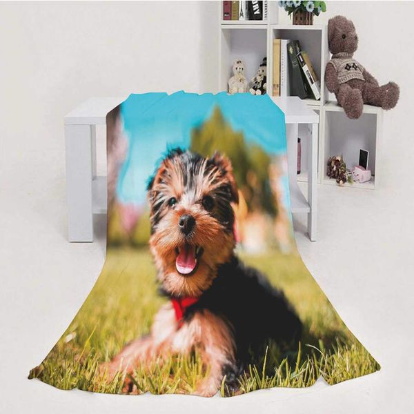 cute smiling yorkshire-terrier puppy,house flannel throw microfiber blanket 70''x80''(wxl)
cute smiling yorkshire-terrier puppy,house flannel throw microfiber blanket 70''x80''(wxl)