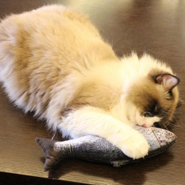 dropship pet soft plush 3d fish shape cat chewing toys electric usb charging simulation toy catnip
dropship pet soft plush 3d fish shape cat chewing toys electric usb charging simulation toy catnip