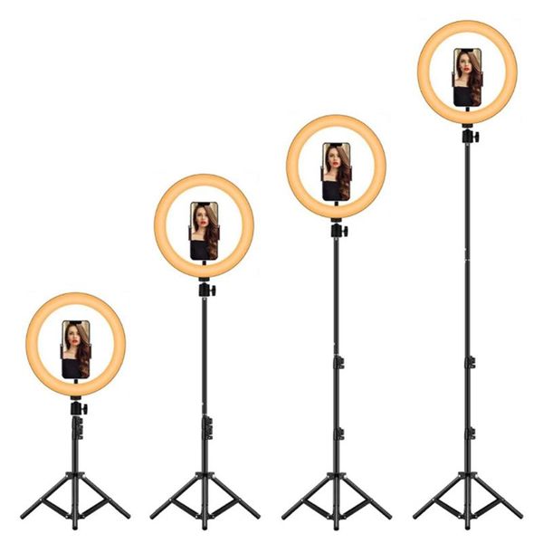 flash heads 2021 10in led trepied stand bluetooth-compatible remote control selfie fill light dimmable lamp phone holder stick video
flash heads 2021 10in led trepied stand bluetooth-compatible remote control selfie fill light dimmable lamp phone holder stick video