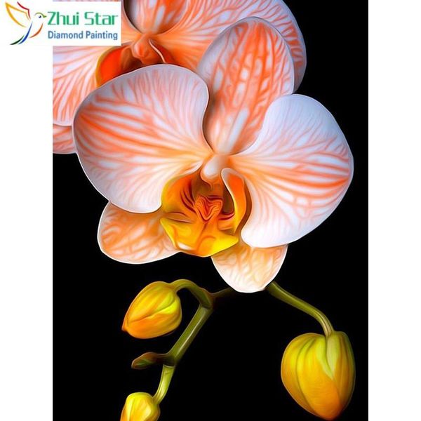 diamond painting zhui star 5d diy full square drill cross stitch orchid embroidery mosaic decor hyy
diamond painting zhui star 5d diy full square drill cross stitch orchid embroidery mosaic decor hyy