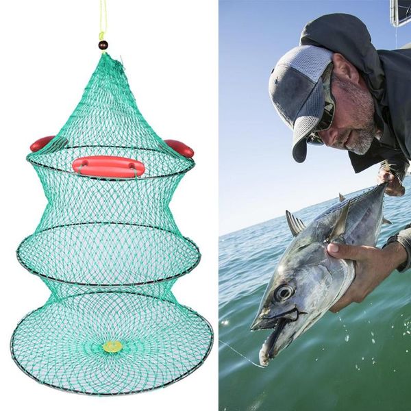 fishing accessories 40cm 45cm 50cm portable net fish shrimp mesh cage cast trap network foldable tackle
fishing accessories 40cm 45cm 50cm portable net fish shrimp mesh cage cast trap network foldable tackle