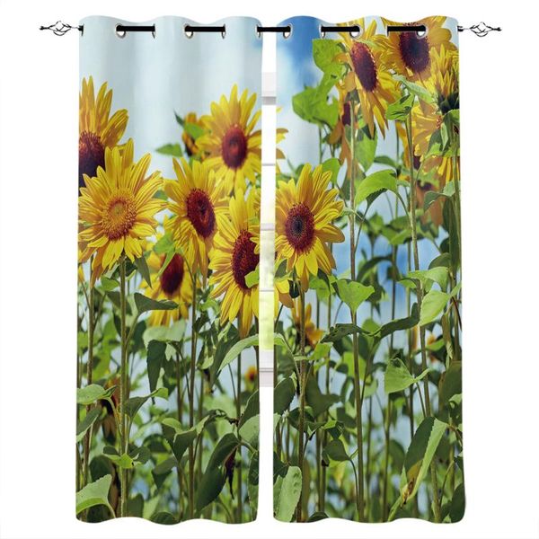 curtain & drapes sunflower field flower bedroom kitchen modern home decoration children window curtains for living room decorative
curtain & drapes sunflower field flower bedroom kitchen modern home decoration children window curtains for living room decorative