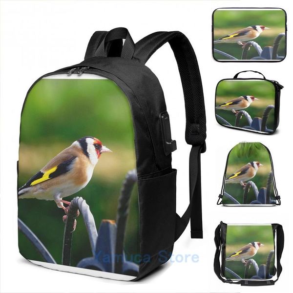 backpack funny graphic print profile of a goldfinch usb charge men school bags women bag travel laptop
backpack funny graphic print profile of a goldfinch usb charge men school bags women bag travel laptop