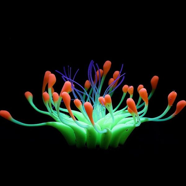 decorations background landscape decor gift ornament marine silicone simulation for aquarium artificial coral fish tank home fake craft
decorations background landscape decor gift ornament marine silicone simulation for aquarium artificial coral fish tank home fake craft