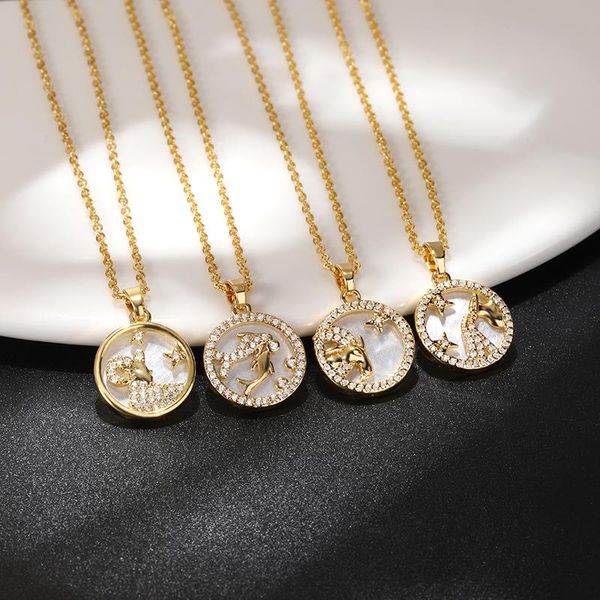 pendant necklaces exquisite 12 constellations zodiac sign charm aquarius leo libra aries horoscope geometric round girl gift, Silver
pendant necklaces exquisite 12 constellations zodiac sign charm aquarius leo libra aries horoscope geometric round girl gift, Silver