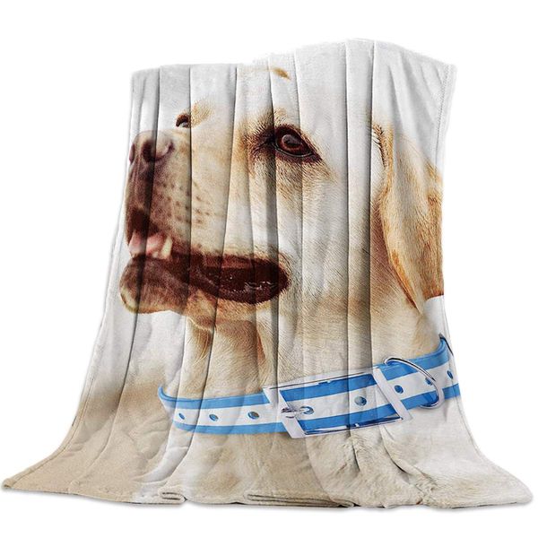 super soft throw blanket labrador animal pet cute puppy lightweight decorative fleece blankets for couch bed sofa
super soft throw blanket labrador animal pet cute puppy lightweight decorative fleece blankets for couch bed sofa