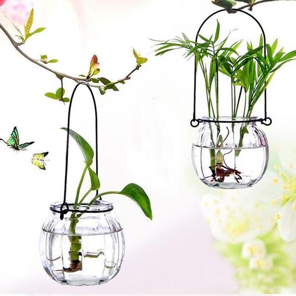 vases glass vase household decor micro-landscape jardiniere creative hydroponic bottle office decoration hanging jar
vases glass vase household decor micro-landscape jardiniere creative hydroponic bottle office decoration hanging jar