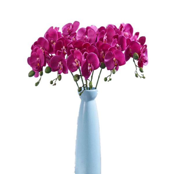 decorative flowers & wreaths simulation flower phalaenopsis feel bouquet plant wedding home living room dining party christmas decoration
decorative flowers & wreaths simulation flower phalaenopsis feel bouquet plant wedding home living room dining party christmas decoration