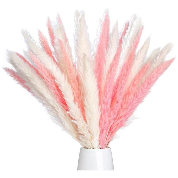 novelty items 40 pcs 17inch natural white/pink dried pampas grass flower arrangements bouquet decor
novelty items 40 pcs 17inch natural white/pink dried pampas grass flower arrangements bouquet decor